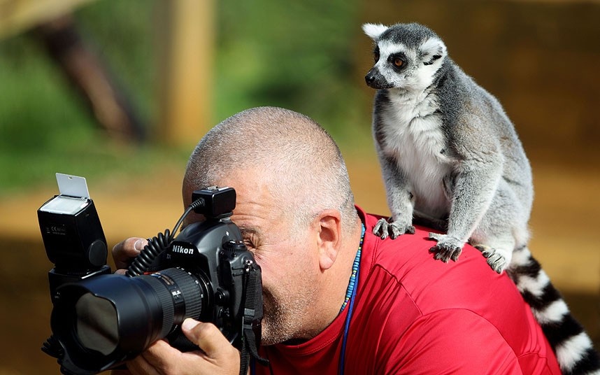 Comment devenir Photographe ?